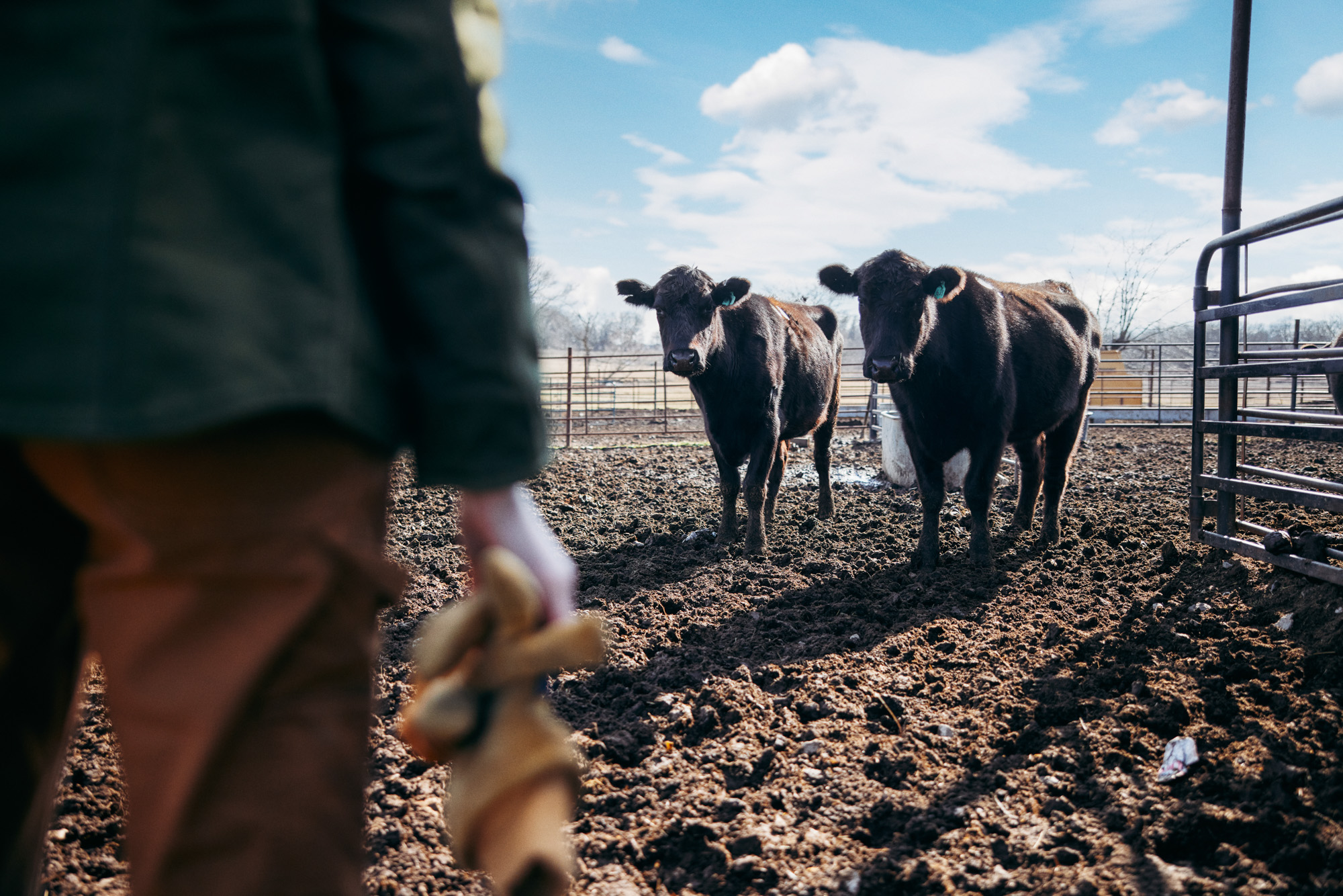automotive and commercial photographer caleb kuhl photographs the toyota tundra truck as a part of farm life