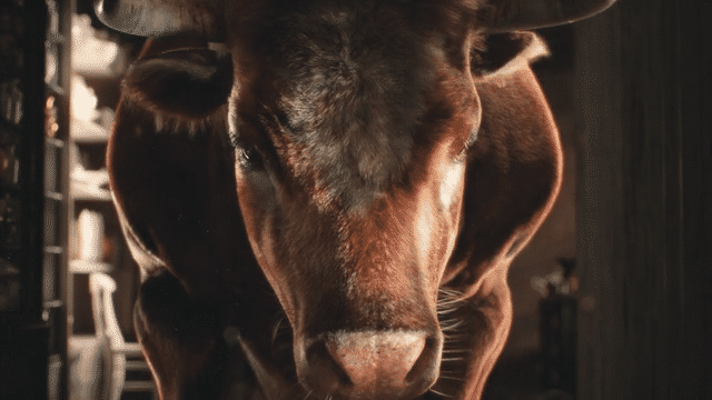 CGI artists and retoucher electric art create a hyper realistic bull in a china shop